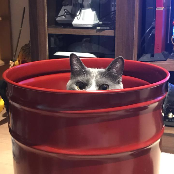 D2c3f4ed 6940 4b6e 970f 3467d0748588 1624451880643