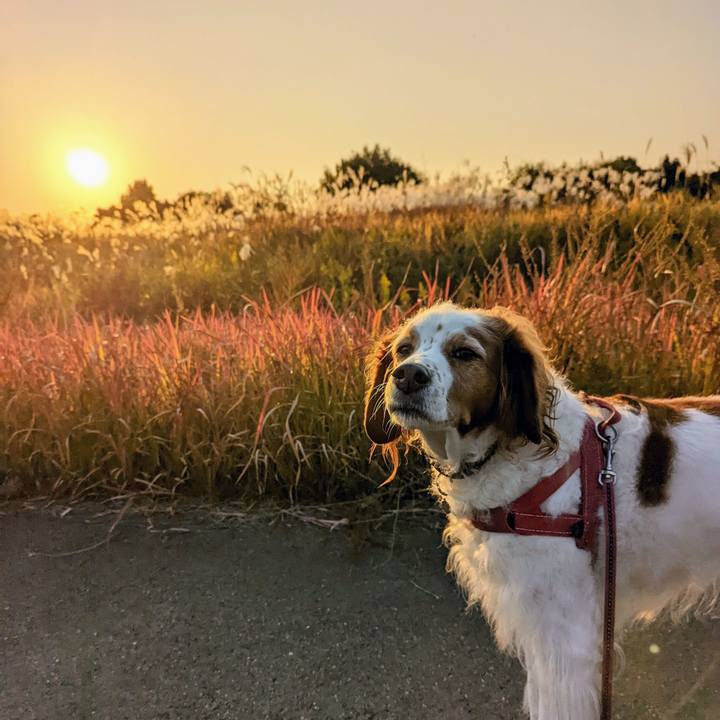 D2c3fe45 ba27 4d68 a105 fd4cf4c7bdd1 1668241441205