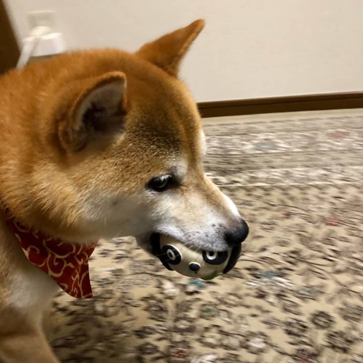 D2c3ff15 805b 4f4b 9f7b 28d61c183b7b 1535113675897