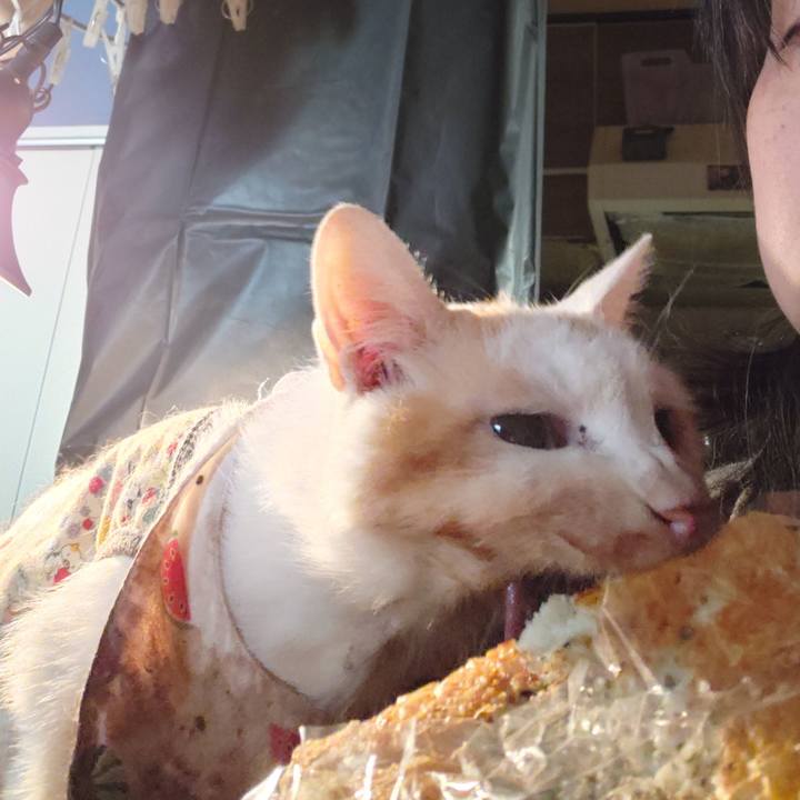 D2c47c42 2b68 44a1 92f1 eee85372e963 1770936280003