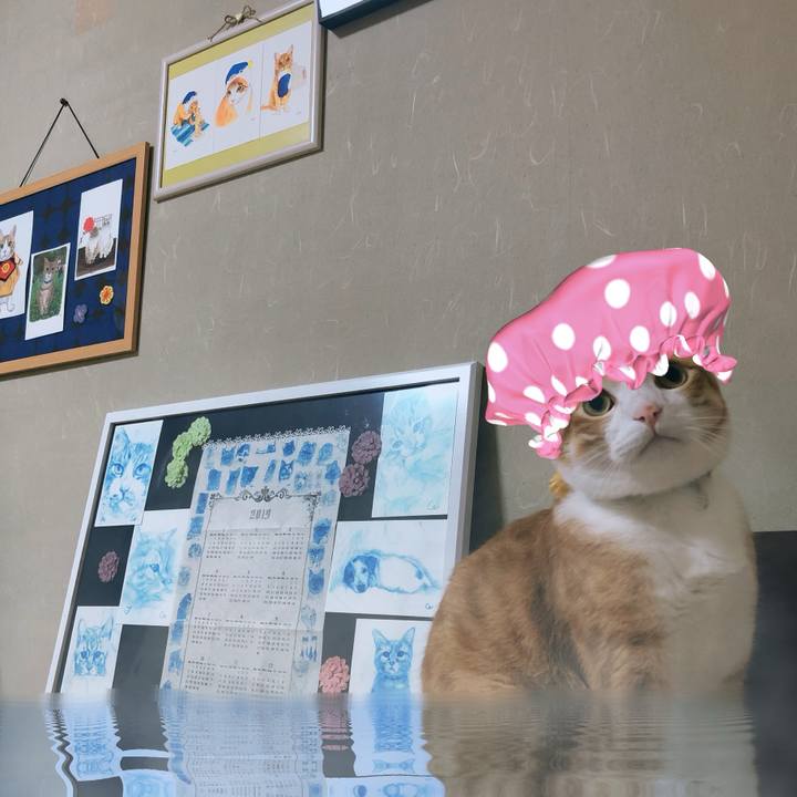 D2c4950d 2ac6 4d62 87ca 2925f9d827f2 1569581608641