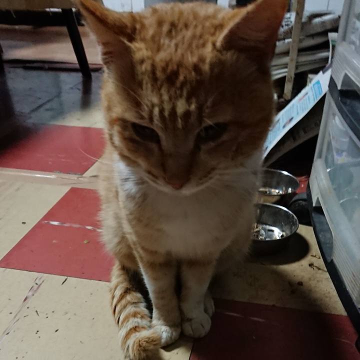 D2c4a7d9 3c49 4d4f 8558 99e06f831084 1554841298491