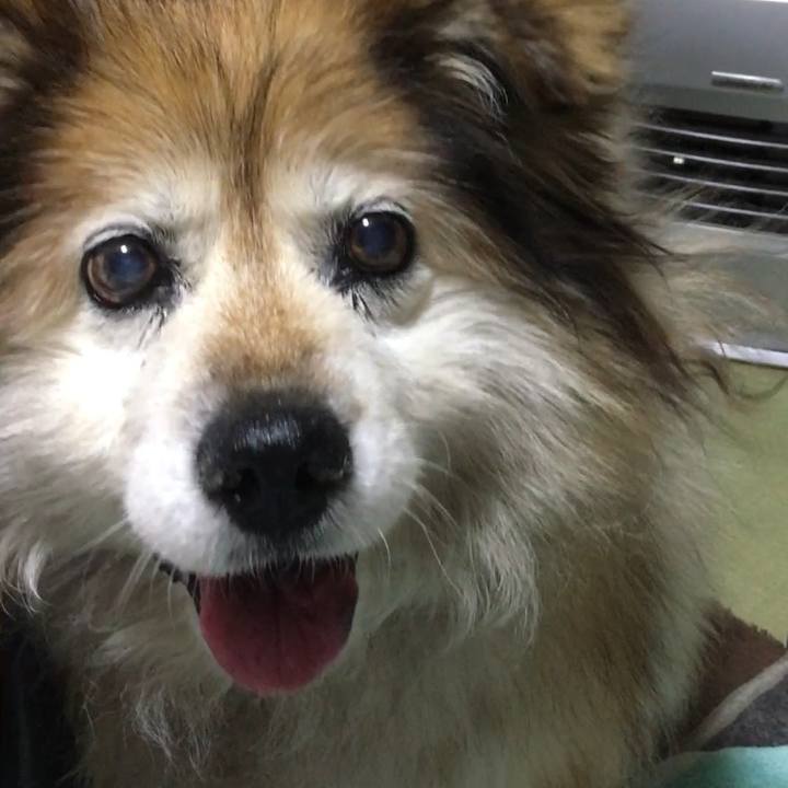 D2c4a995 5750 4cf8 9e77 1688144ef62b 1586627730874