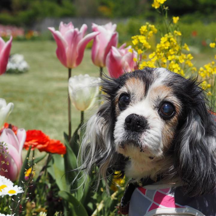 D2c55ea3 d2ad 4741 913d 781d8a69e109 1618024923841