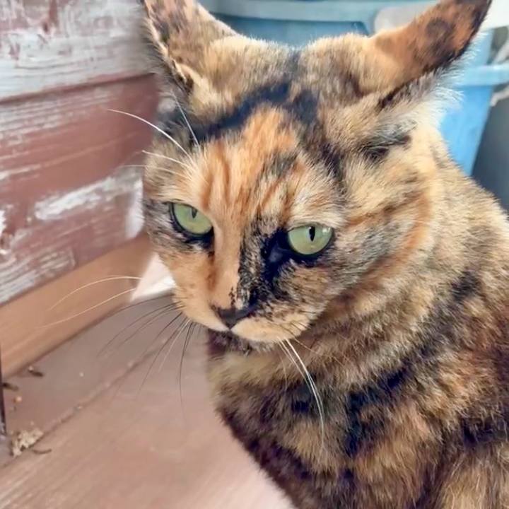 D2c5a878 db26 4eeb 856c b08422992906 1762834178168