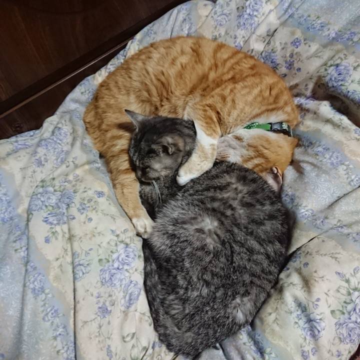 D2c5bac5 8265 45f1 abbd bd1a05efb66f 1582722441645