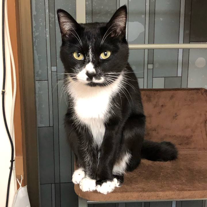 D2c5da28 99af 489f b00d fa54279c8cd0 1544413012918