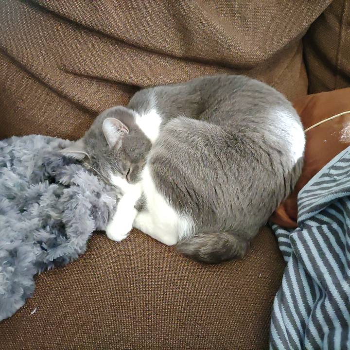 D2c616f0 6c5f 420f 9df2 8a922b99ed0d 1677387165938