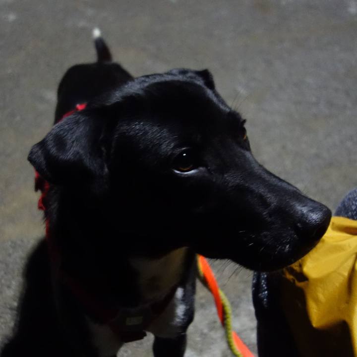 D2c62040 a6e9 4282 9ba2 5915e922ee8d 1584097736538