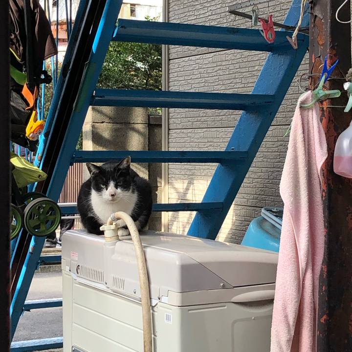 D2c64181 f315 4c8f a202 5bc268b0a151 1617082477624