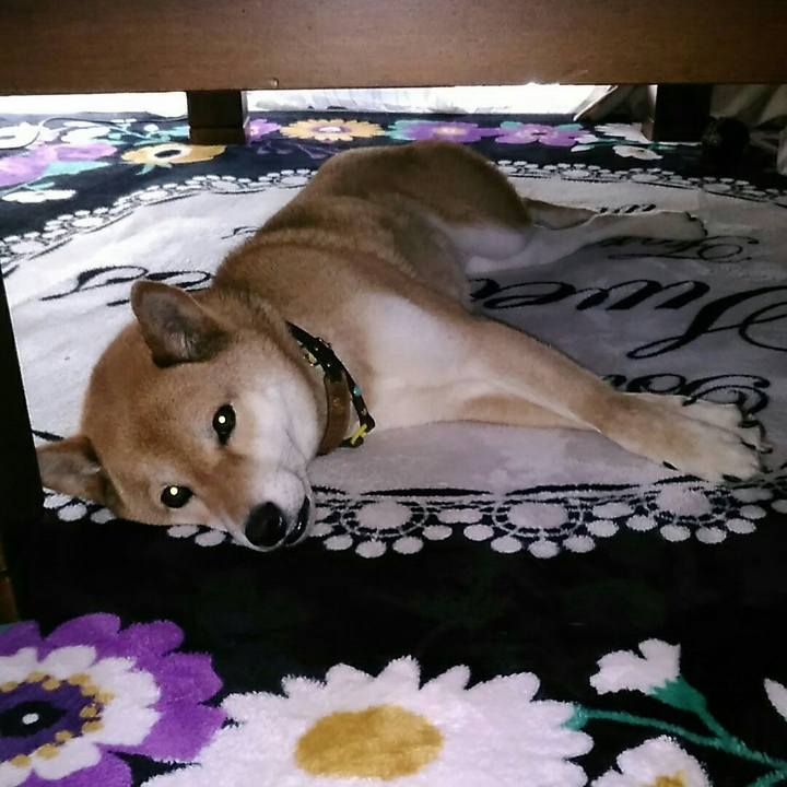 D2c65891 9862 4f0a 94d2 7e0ae9267b51 1558591042482