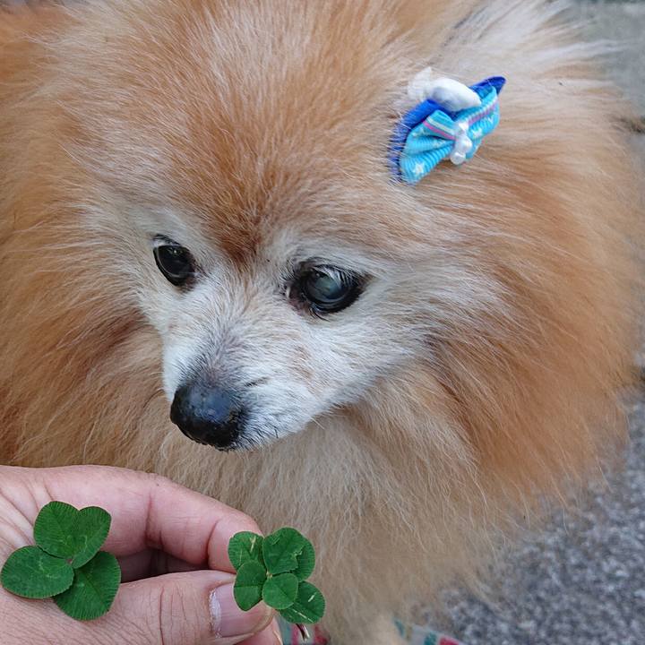 D2c6590a e017 41fd b7a7 9f1bb62b1056 1655332967235