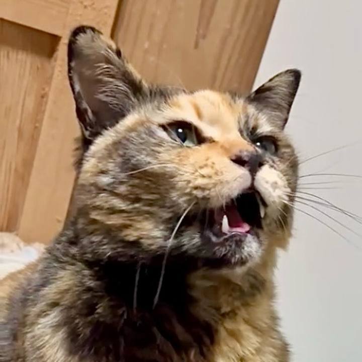 D2c666bb 801c 40a1 9e6e 60075a4ccad6 1772915419674