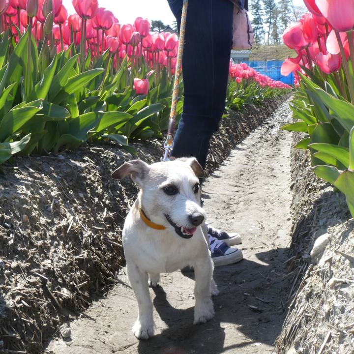 D2c68106 0c0d 4649 87e2 b4580324d2a8 1618119572489