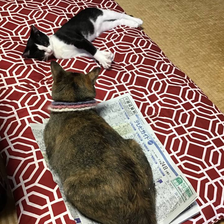 D2c6843d da28 4774 afa1 07ebe686c4e9 1627109447969