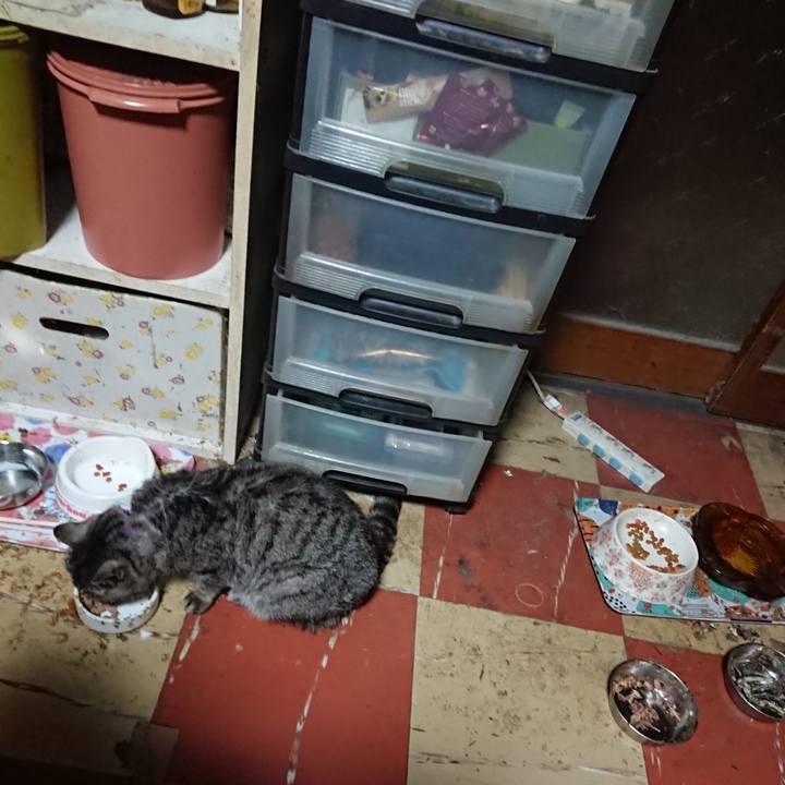 D2c695fc 7ac9 4ceb af09 457c7e9369b2 1583438247064