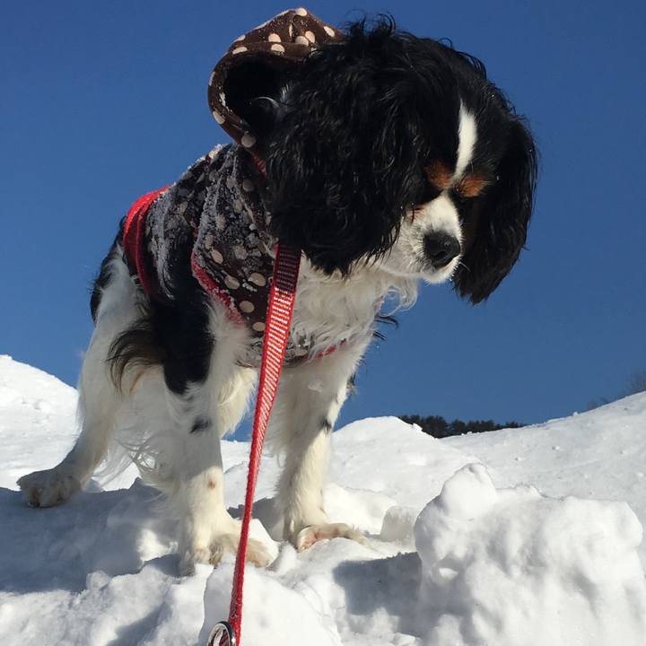 D2c69806 75ef 48e6 8e21 d642fc86ae18 1519710094932