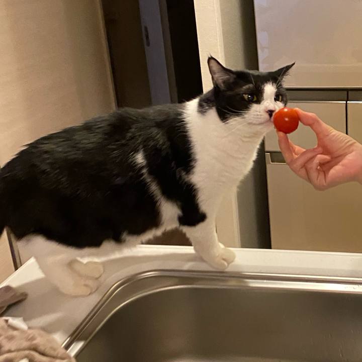 D2c6ad7a 017a 4eba 99b2 01346ddc12f2 1771674396041