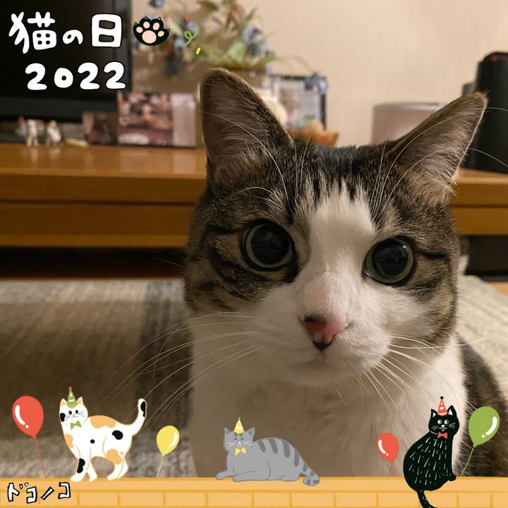 D2c6c138 67fd 4599 96ca 5581486f5820 1645542514463