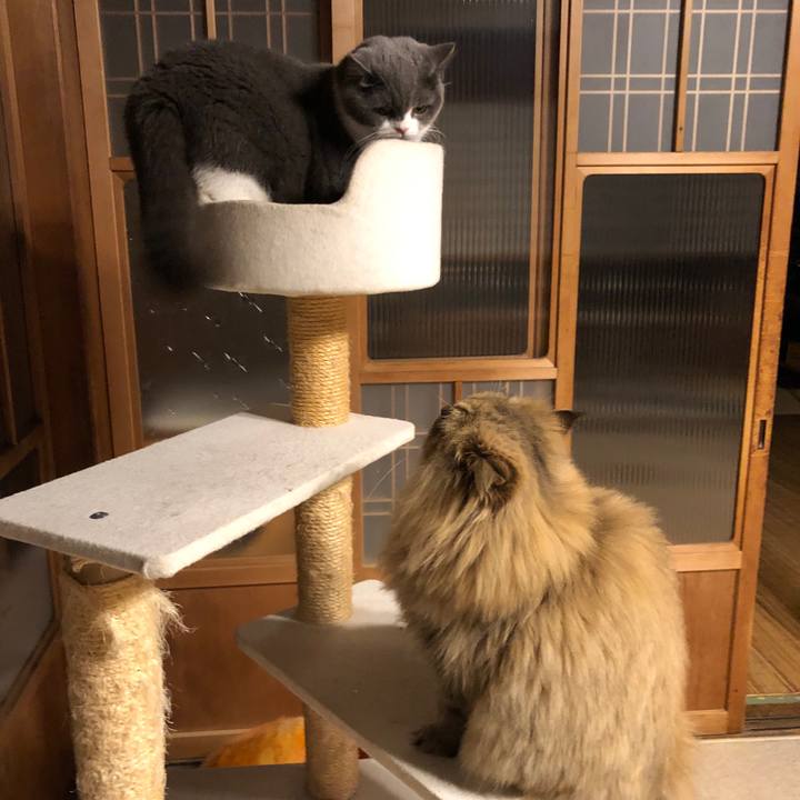 D2c75795 50a2 4725 ba3e b9db556facab 1574756045389