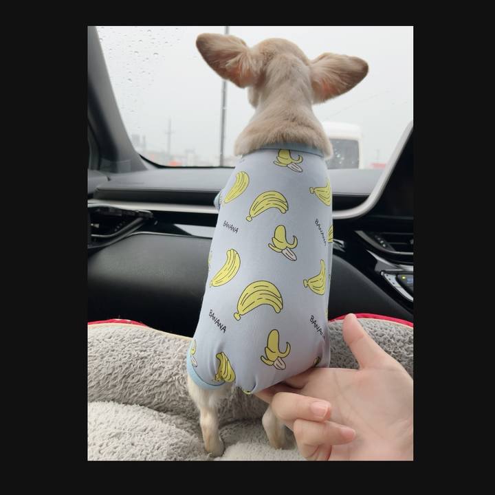 D2c76ba0 0e49 4422 ba69 ada4d555eddd 1722085609018