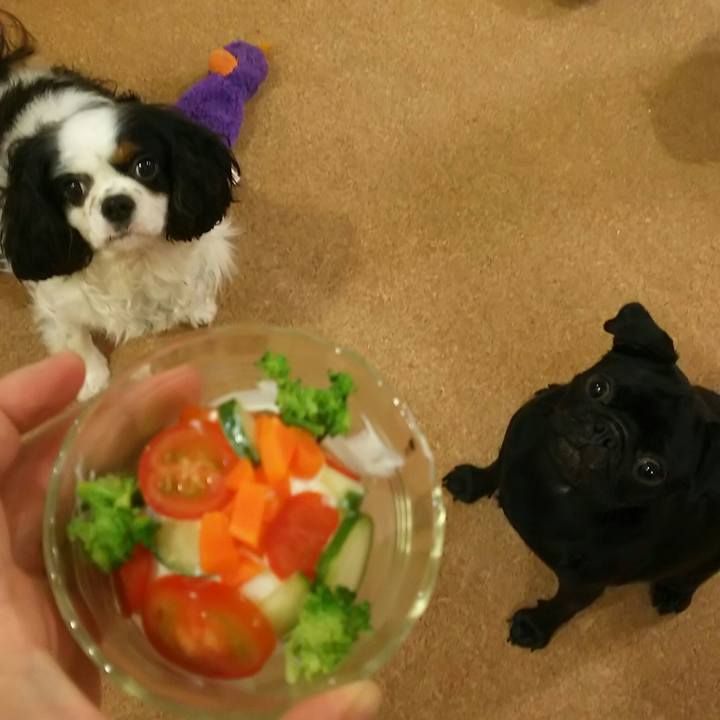 D2c7eb03 d8d6 40f2 9cea 6dc4b90f62ac 1533818786889