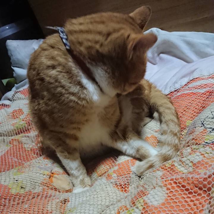 D2c8483f 779f 4af5 9195 258463d21ec1 1574425569797