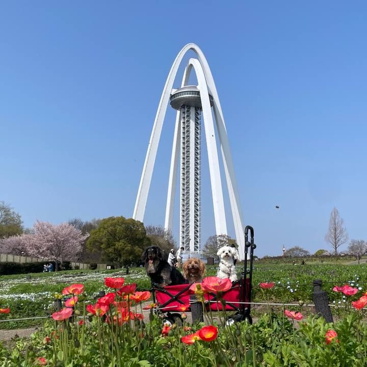 D2c85b05 0f5d 4463 b47b 30aaacd3add1 1774789239901