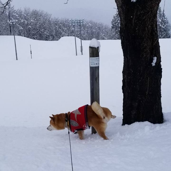 D2c8682b 8085 4b2f a6f3 7278c5084c63 1608002132513