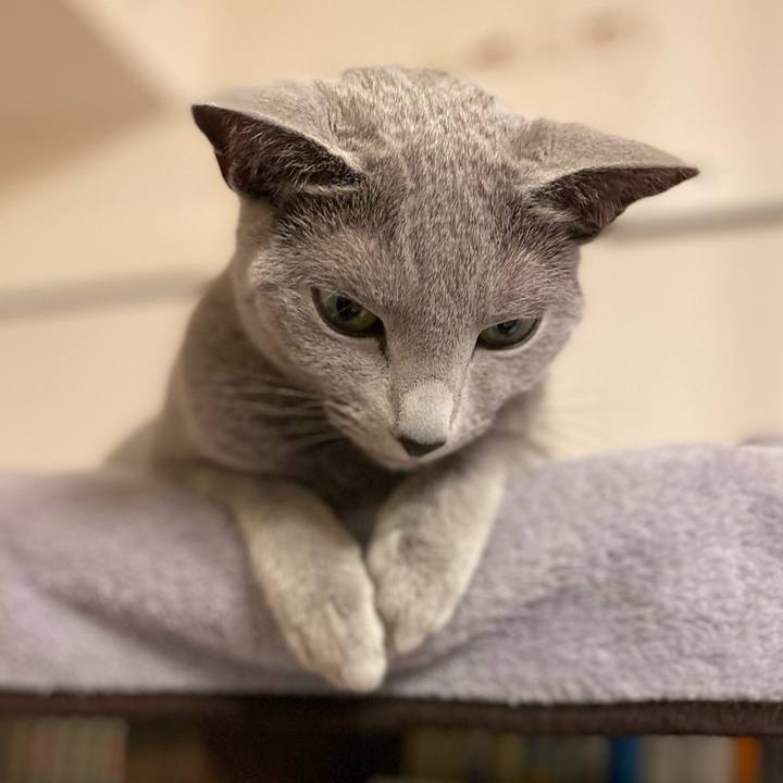 D2c8747a 483a 40e3 a6bb 11746e09324b 1716248630016