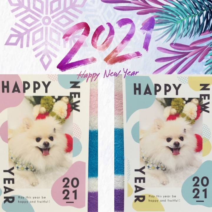 D2c8777e 8448 46b4 aa5c da330489cfa0 1609469311297