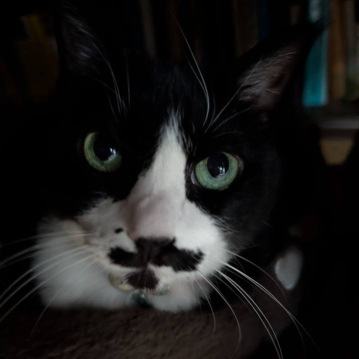 D2c89c08 2854 4c1e b0c6 2bc0b4753c86 1765321083797