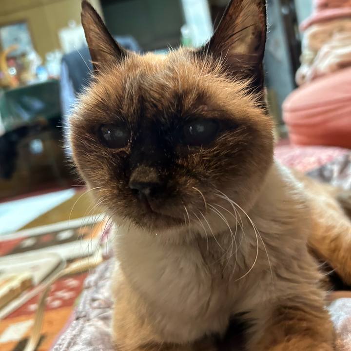 D2c89d92 7e09 41eb 8910 33e7d8e72907 1751587423374