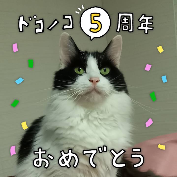 D2c8a497 c307 4f2e 8469 0248067cbd7d 1622938045402