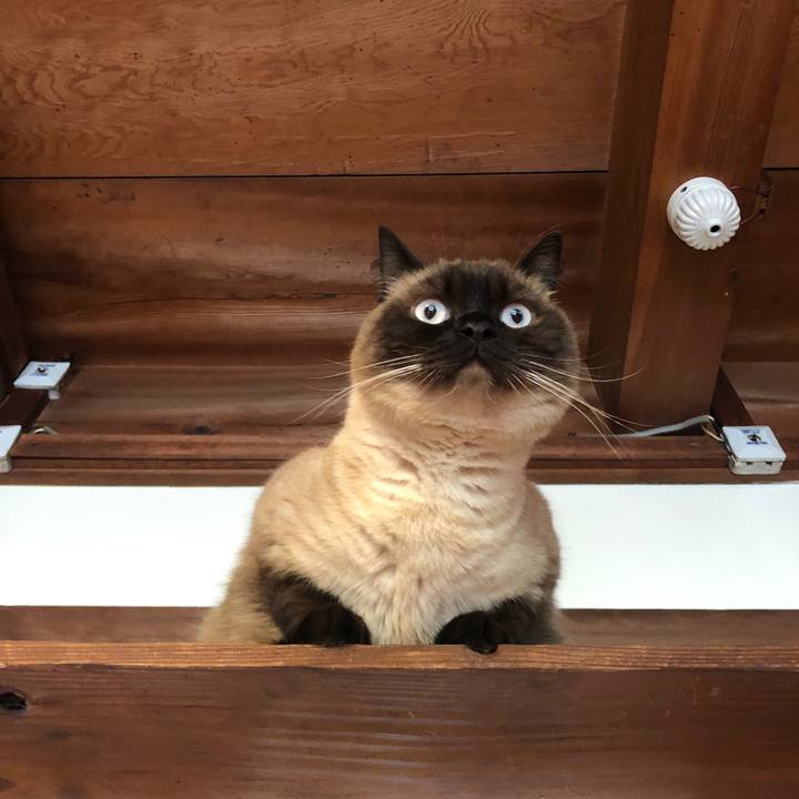 D2c8a84b cd10 46de a1b1 ff22d730494d 1621990510715