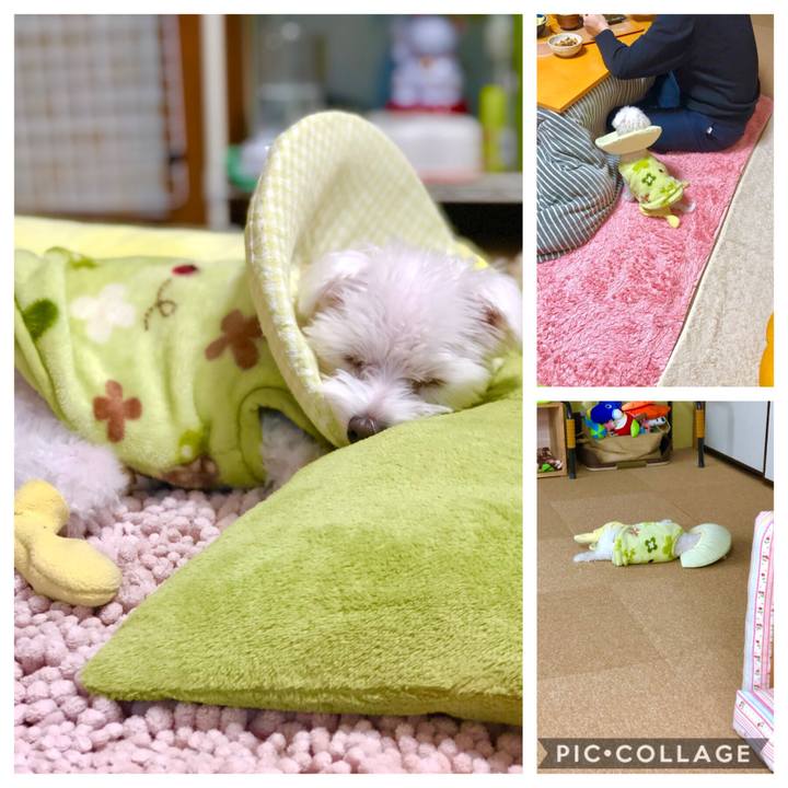 D2c8b5f5 89e7 4b4d 8267 97463d1eb8c0 1544401842568