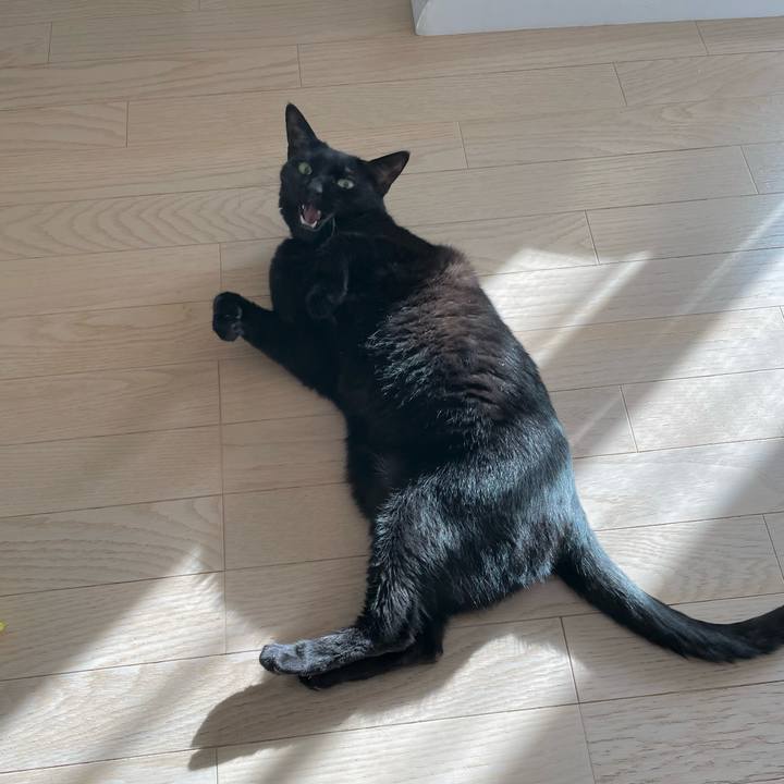 D2c8dea3 06ee 4011 8bd5 6f02fafc5f67 1683093718934