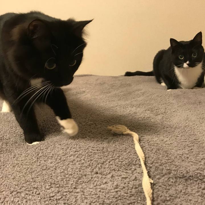 D2c8f1b2 73e1 493d ab60 55d8a0aa66a0 1519256291930