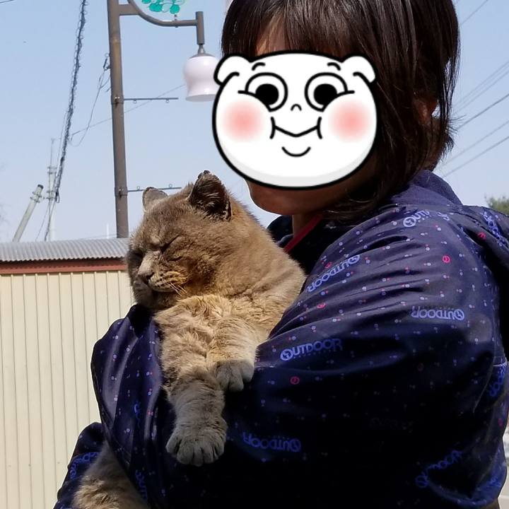 D2c8fd2e e4b4 433a b289 0d1b94962c25 1522492400490