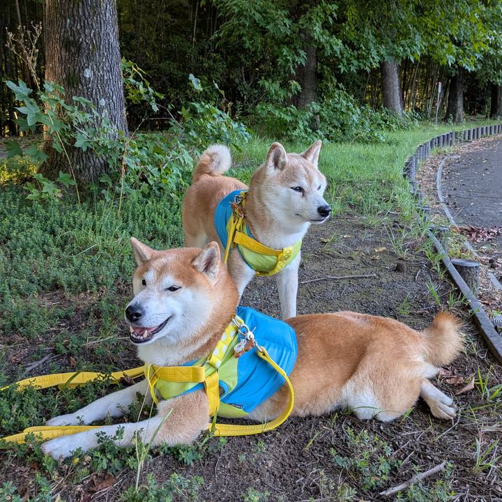 D2c90ff8 a41b 4411 9d96 73915f25ce3e 1755224390962