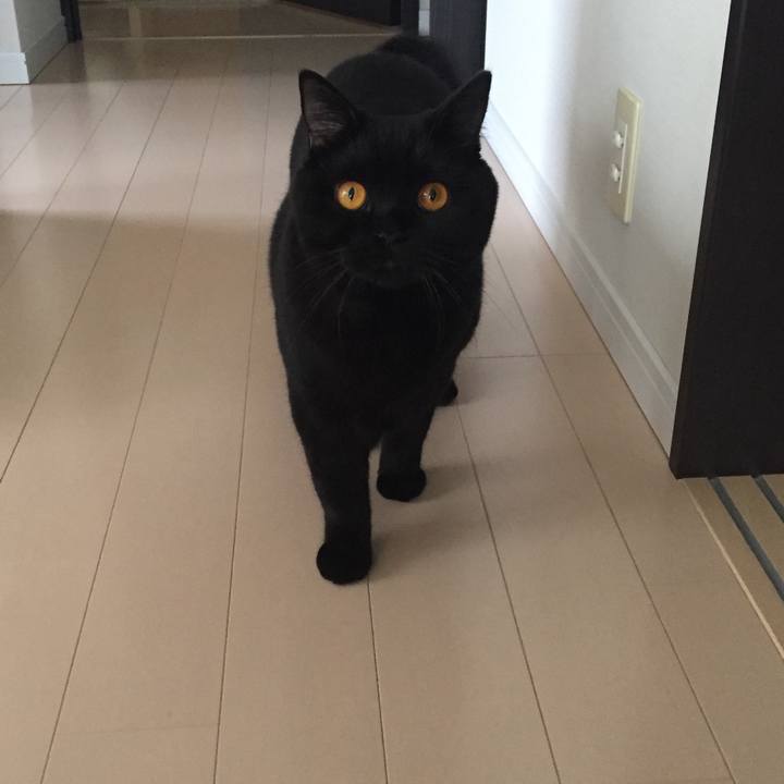 D2c93596 4476 4858 9595 5da8e7aff546 1508917637178