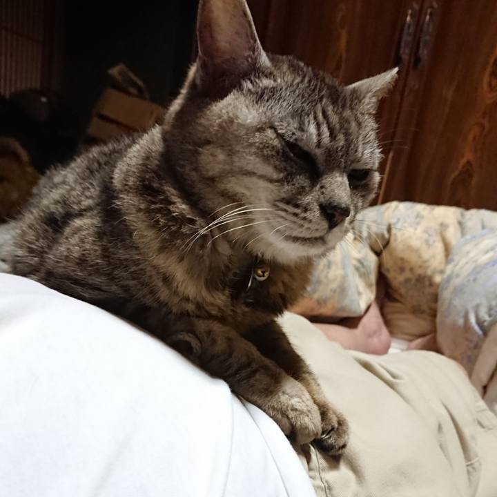 D2c94a35 268e 4110 9123 5393306781e0 1563281185627