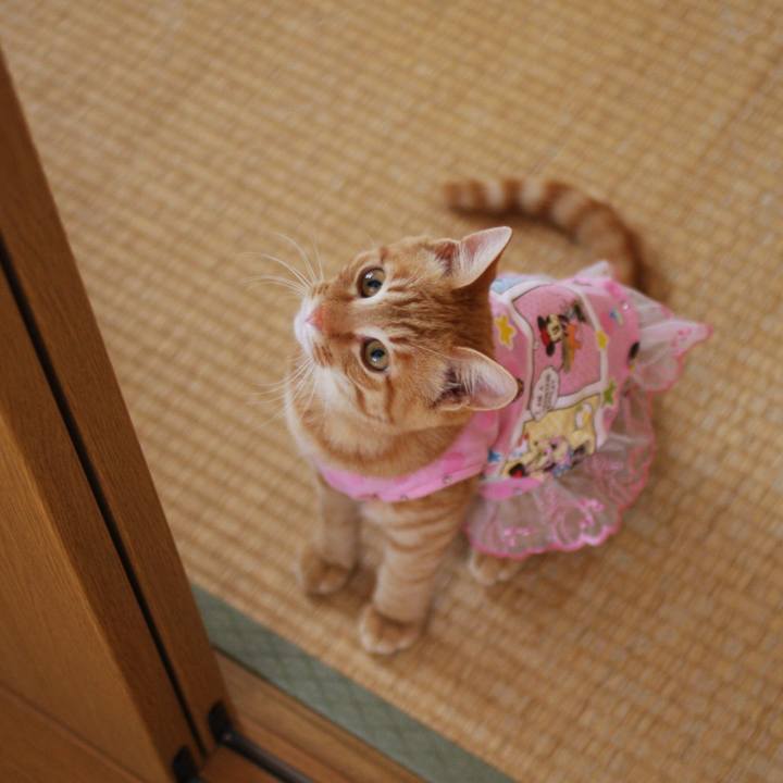 D2c94d9f 7211 49cf 852f 2f91a86e334c 1743860312186