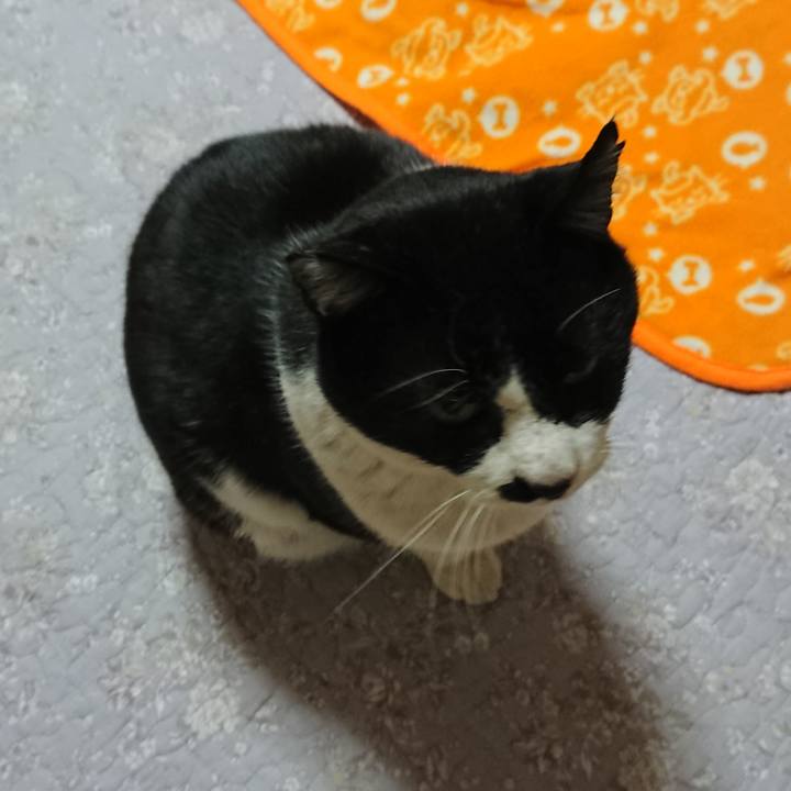 D2c95318 5981 45dd ac20 19bd7d1a62ef 1548377289453