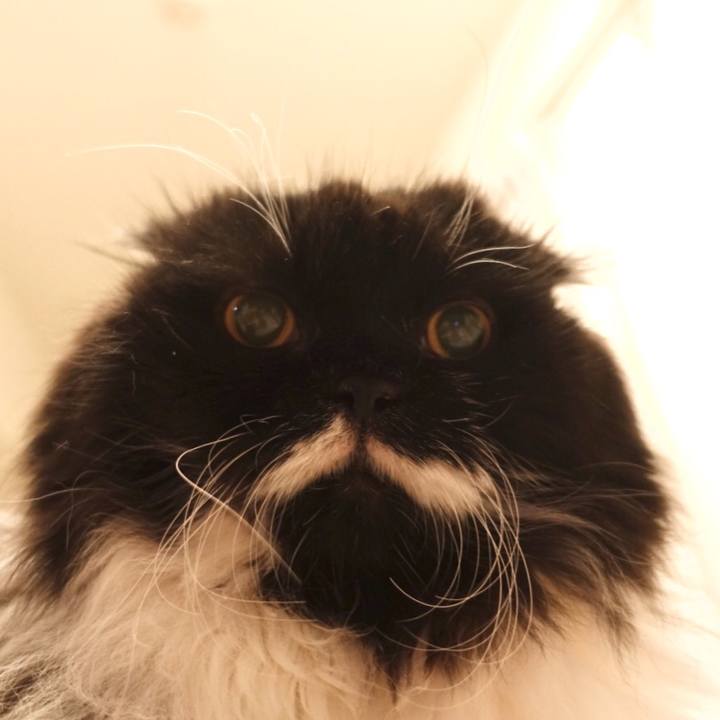 D2c960ae e03c 453f 93ea 642e4afa0e2b 1532771737389