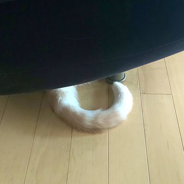 D2c97569 8008 49b9 bbe5 189308c752b3 1599210279877