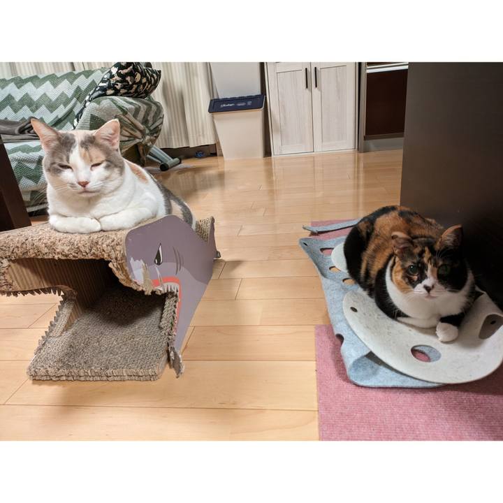 D2c97ae1 dca0 45f7 ad86 f2530d5b3b36 1705465563473