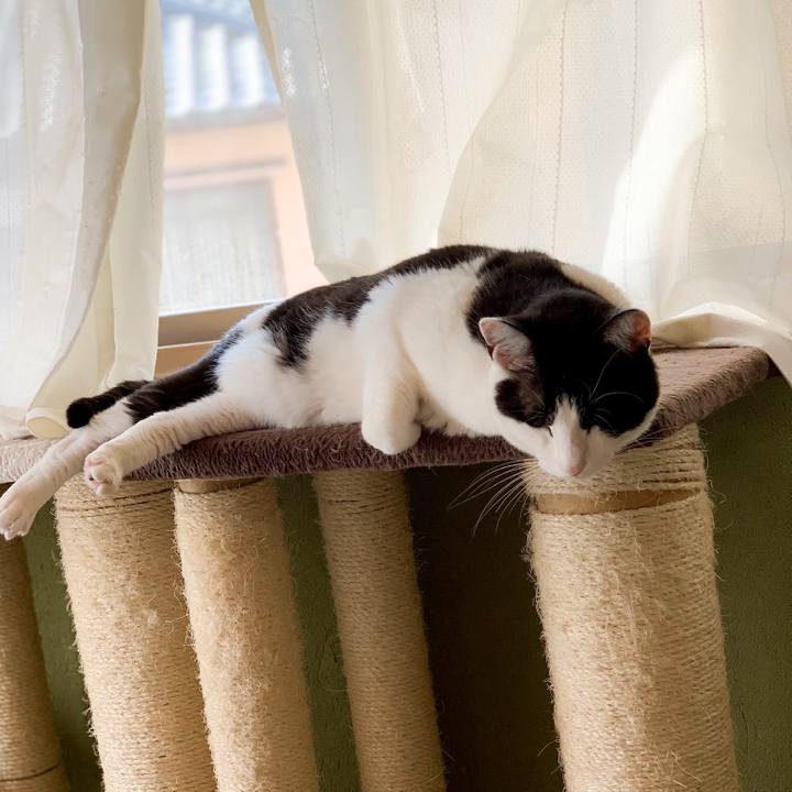 D2c99b1e f9f2 4c85 81df 9b131a064356 1562120169167