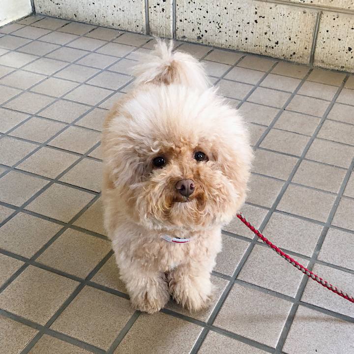 D2c9c9bb 284b 418d b28d d7f88a8245b1 1518497757943