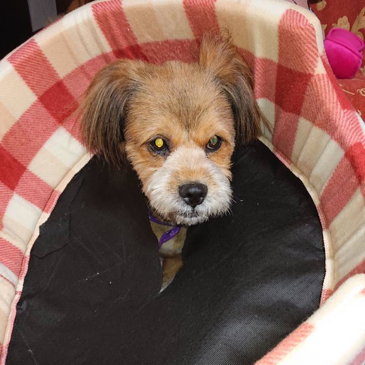 D2c9eb3e 18f7 4d8c 90b4 e6d92b9cac4e 1571220832847